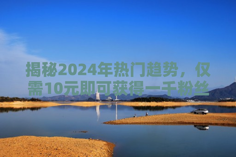 揭秘2024年热门趋势，仅需10元即可获得一千粉丝的秘诀！