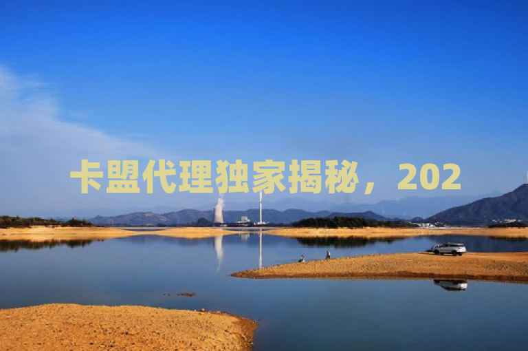 卡盟代理独家揭秘，2025必学的商业秘籍，轻松成老板！