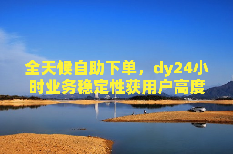 全天候自助下单，dy24小时业务稳定性获用户高度评价