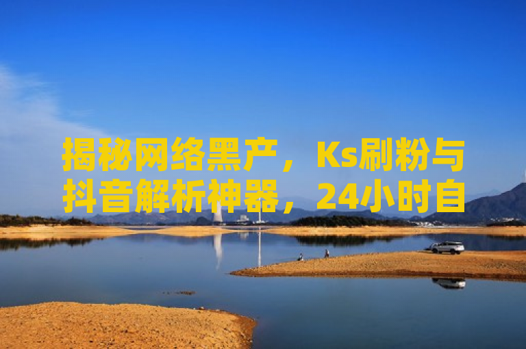 揭秘网络黑产，Ks刷粉与抖音解析神器，24小时自助服务背后的风险