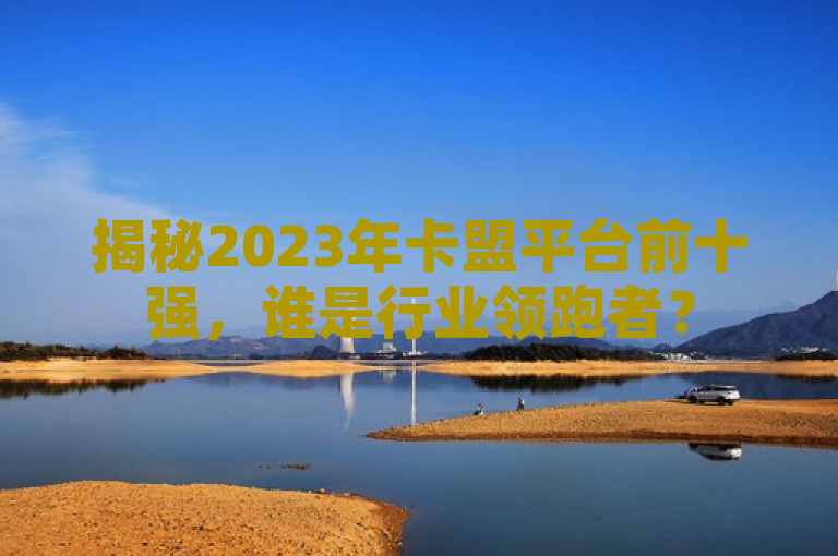 揭秘2023年卡盟平台前十强，谁是行业领跑者？