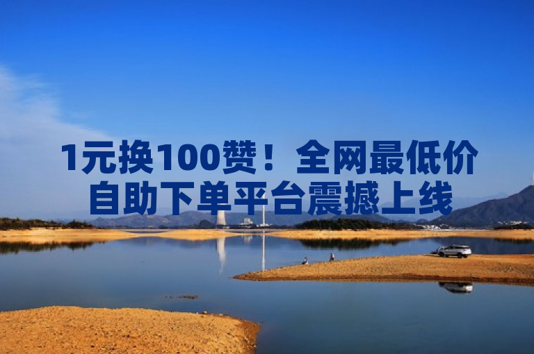 1元换100赞！全网最低价自助下单平台震撼上线