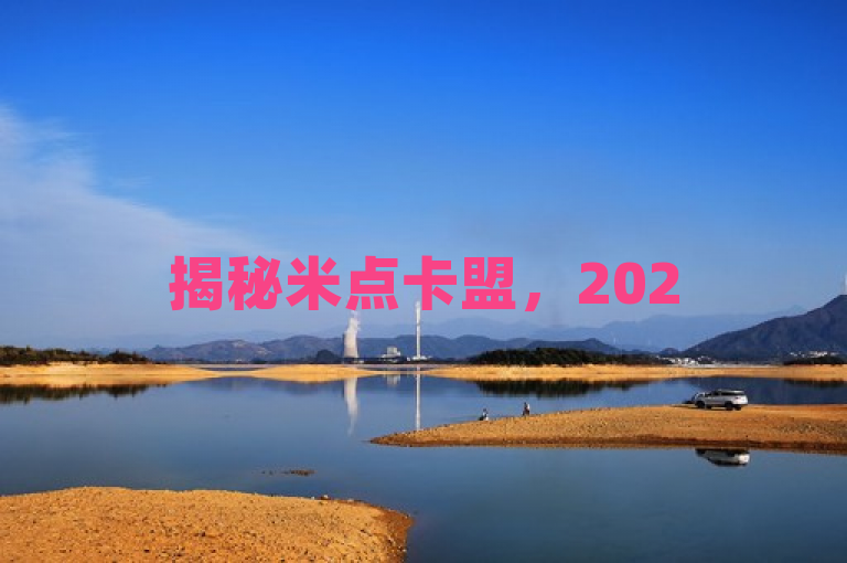 揭秘米点卡盟，2025年必学的顶级卡盟选项详解！