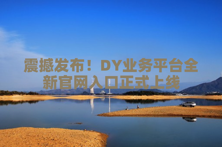 震撼发布！DY业务平台全新官网入口正式上线