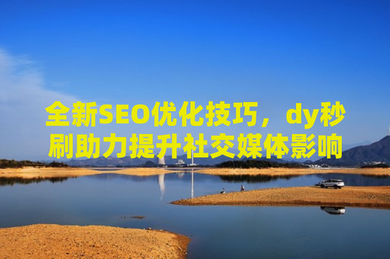 全新SEO优化技巧，dy秒刷助力提升社交媒体影响力