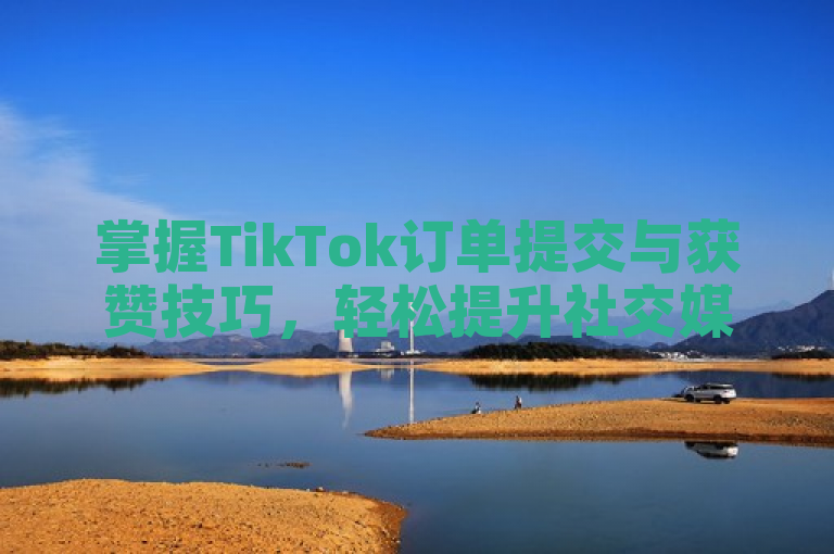 掌握TikTok订单提交与获赞技巧，轻松提升社交媒体影响力