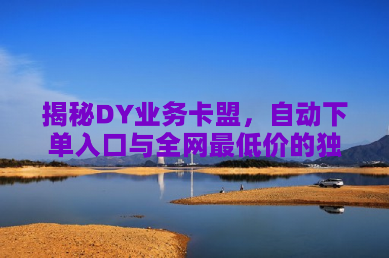 揭秘DY业务卡盟，自动下单入口与全网最低价的独家优势