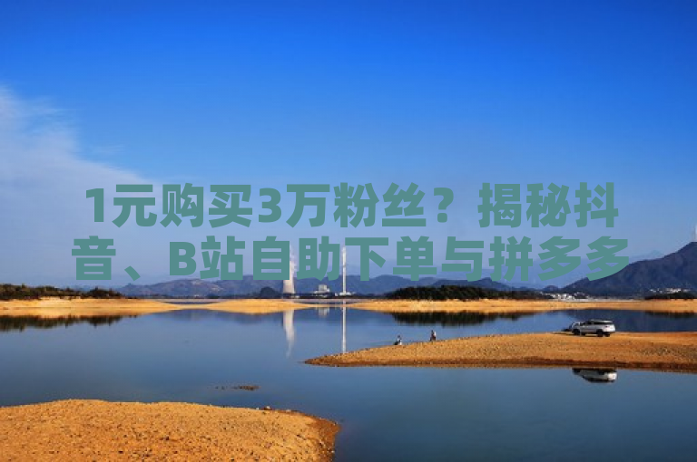 1元购买3万粉丝？揭秘抖音、B站自助下单与拼多多帮砍助力网站真相