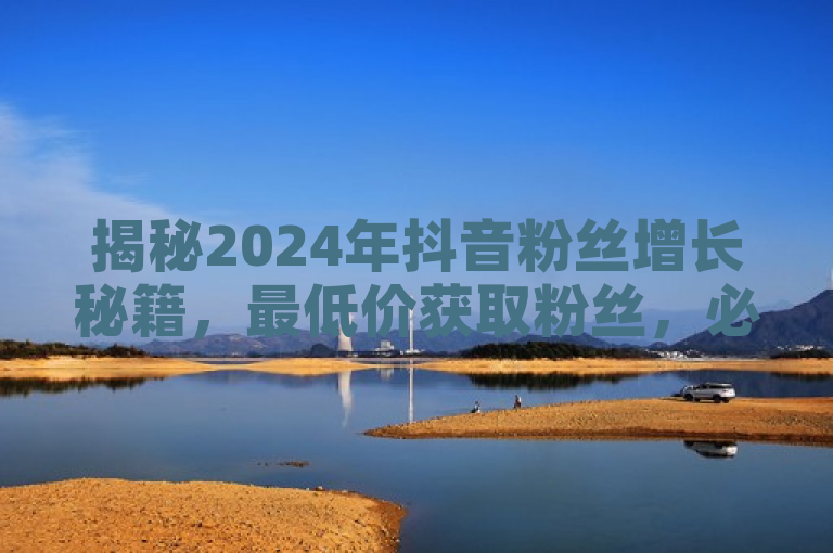 揭秘2024年抖音粉丝增长秘籍，最低价获取粉丝，必学技巧大公开！