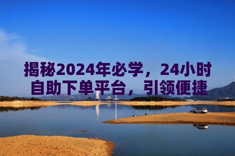 揭秘2024年必学，24小时自助下单平台，引领便捷高效新潮流！