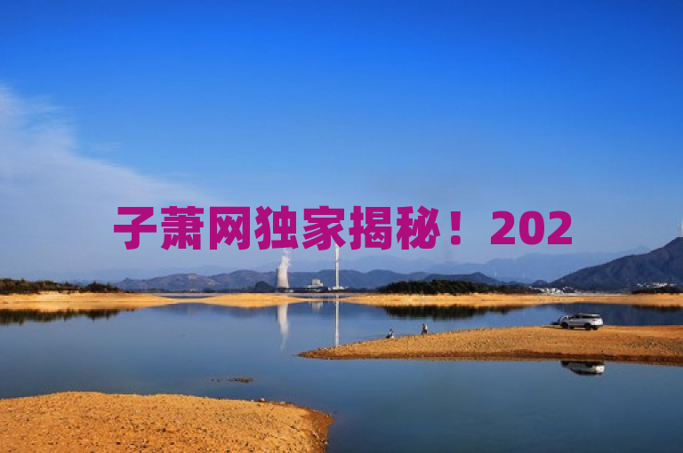 子萧网独家揭秘！2025年快手合作众包新动向必知