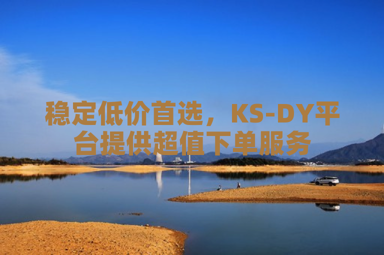 稳定低价首选，KS-DY平台提供超值下单服务