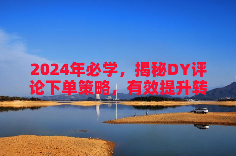 2024年必学，揭秘DY评论下单策略，有效提升转化率！