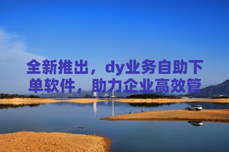 全新推出，dy业务自助下单软件，助力企业高效管理订单流程