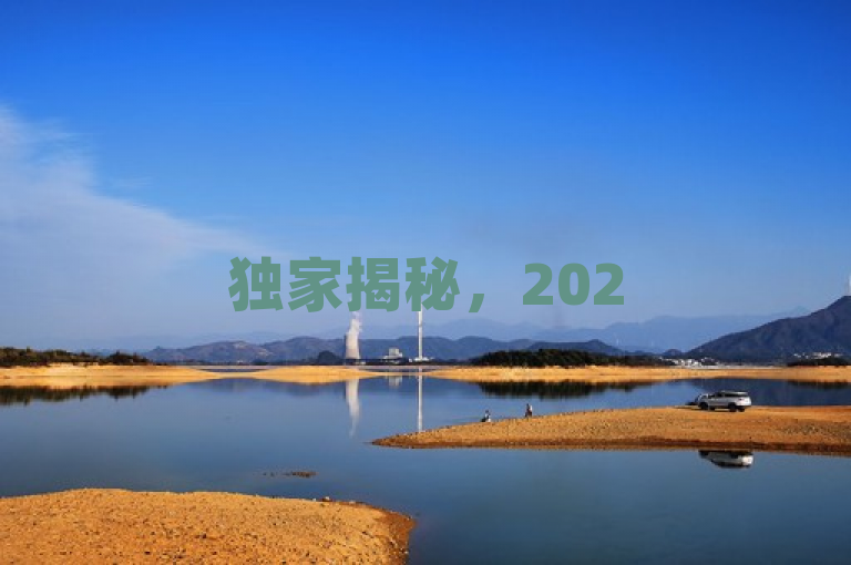 独家揭秘，2025必学，提升dy互动率的评论技巧！