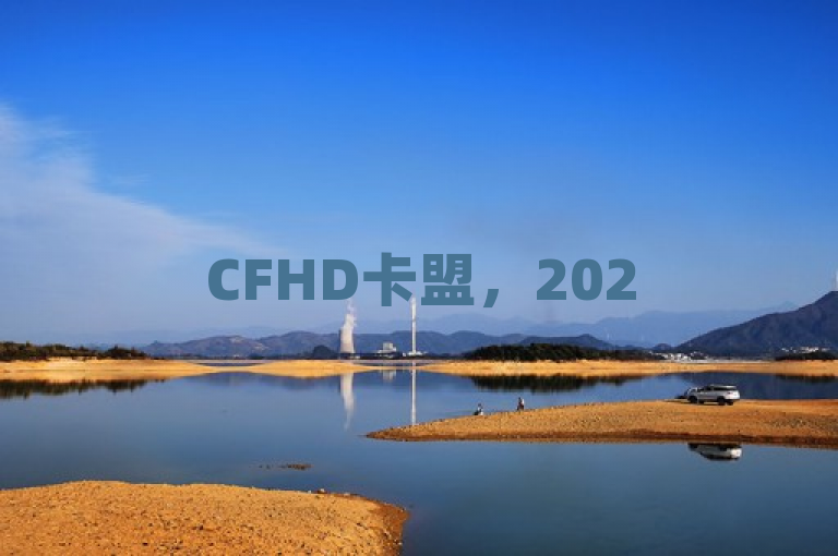 CFHD卡盟，2025年顶级游戏辅助平台，全面服务揭秘！