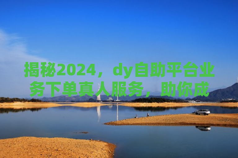 揭秘2024，dy自助平台业务下单真人服务，助你成就更多可能！