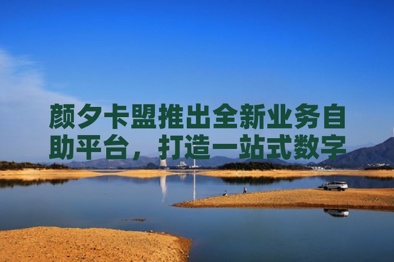 颜夕卡盟推出全新业务自助平台，打造一站式数字服务新体验