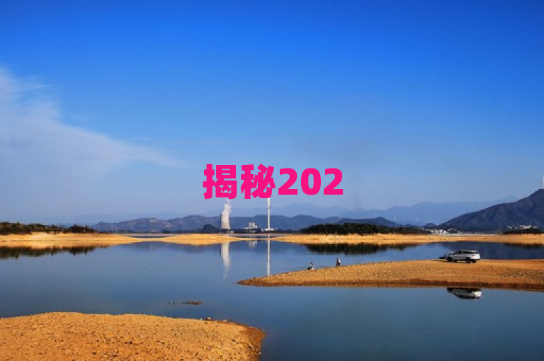 揭秘2025年必学技巧，如何在24小时内提升播放量？