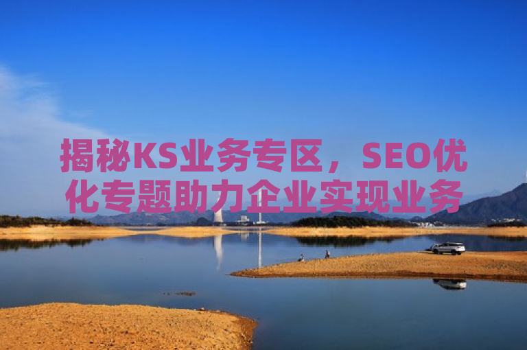 揭秘KS业务专区，SEO优化专题助力企业实现业务飞跃