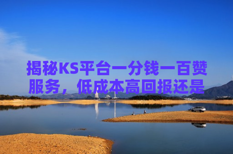 揭秘KS平台一分钱一百赞服务，低成本高回报还是陷阱？，表明了，ks平台提供的一分钱一百赞的服务引起了人们的关注。虽然听起来很吸引人，但背后可能隐藏着一些风险和问题。