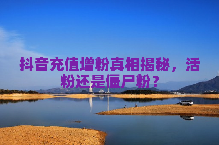 抖音充值增粉真相揭秘，活粉还是僵尸粉？