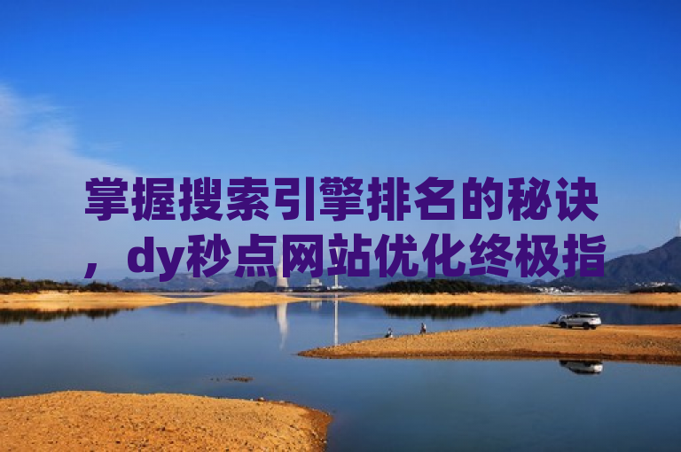 掌握搜索引擎排名的秘诀，dy秒点网站优化终极指南