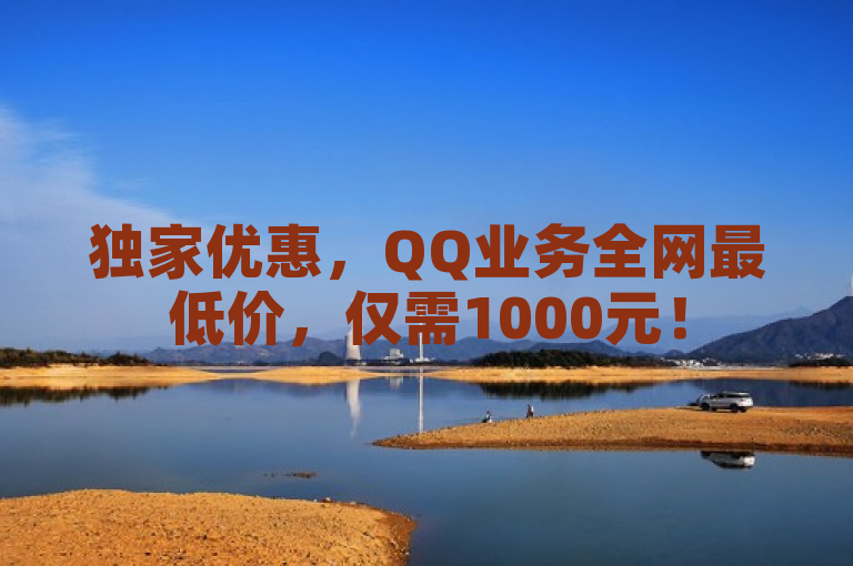 独家优惠，QQ业务全网最低价，仅需1000元！