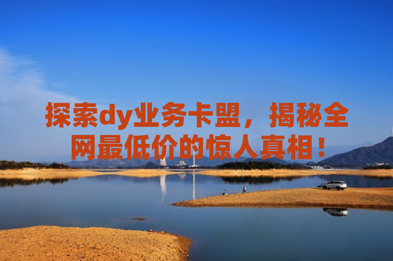 探索dy业务卡盟，揭秘全网最低价的惊人真相！