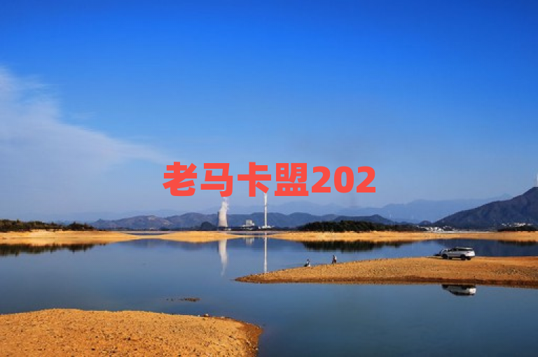 老马卡盟2025年在线自助下单服务大揭秘，高效便捷引领行业新潮流