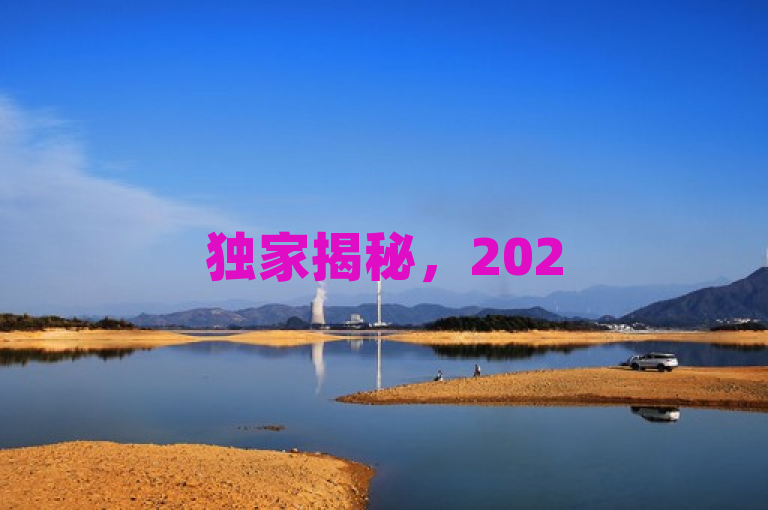 独家揭秘，2025年网站流量提升秘籍，定制评论服务成关键策略！