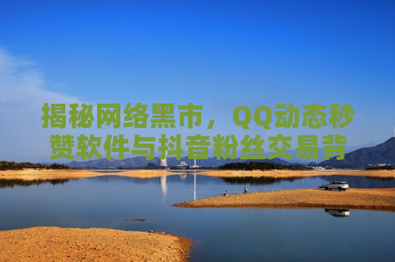 揭秘网络黑市，QQ动态秒赞软件与抖音粉丝交易背后的风险