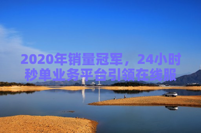 2020年销量冠军，24小时秒单业务平台引领在线服务新潮流