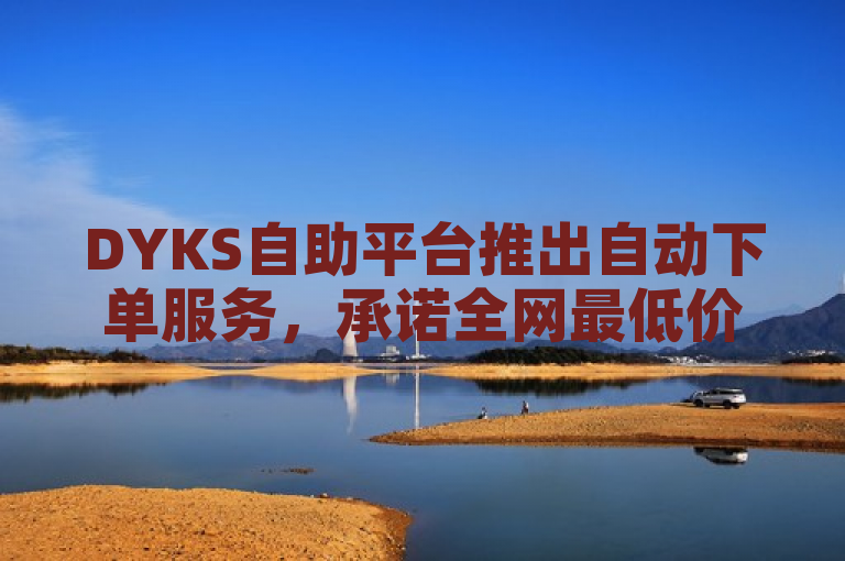 DYKS自助平台推出自动下单服务，承诺全网最低价