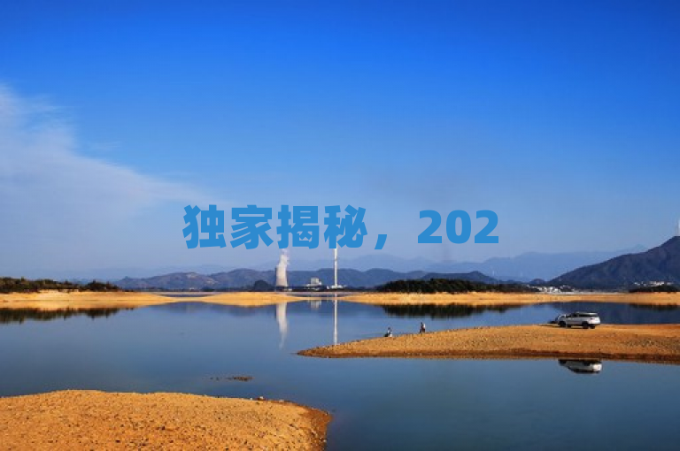 独家揭秘，2025年必学！提升dy互动率的评论技巧大公开