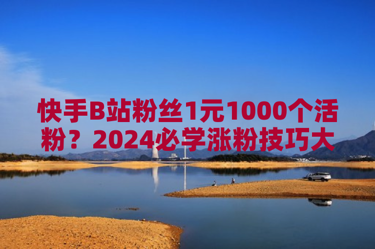 快手B站粉丝1元1000个活粉？2024必学涨粉技巧大揭秘！