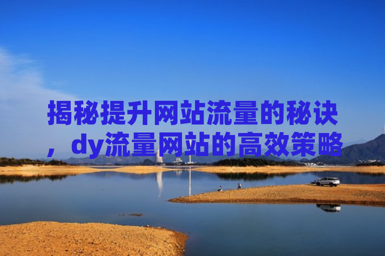 揭秘提升网站流量的秘诀，dy流量网站的高效策略