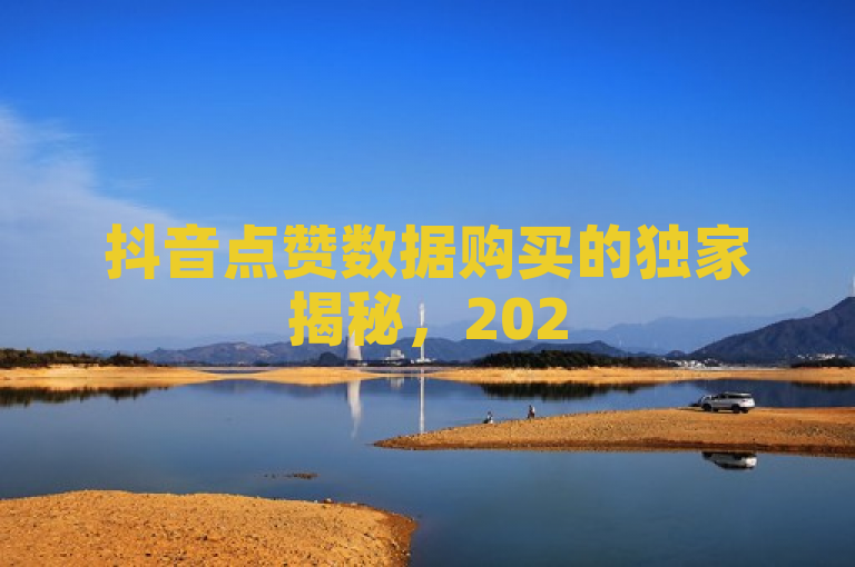 抖音点赞数据购买的独家揭秘，2025必学技