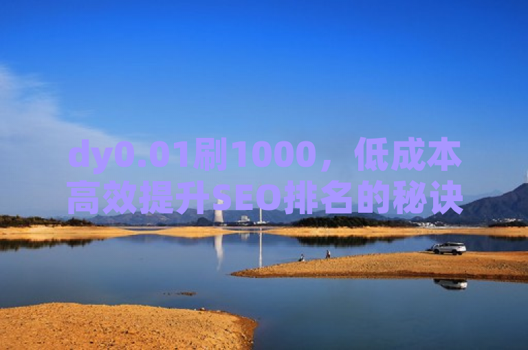 dy0.01刷1000，低成本高效提升SEO排名的秘诀。