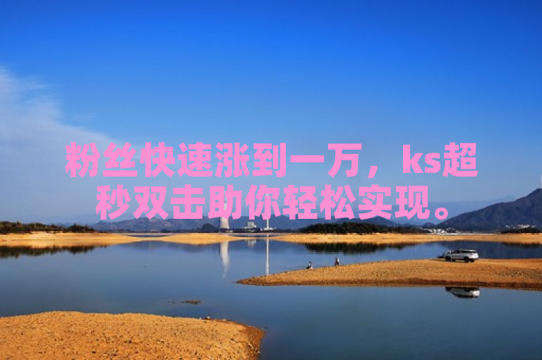 粉丝快速涨到一万，ks超秒双击助你轻松实现。