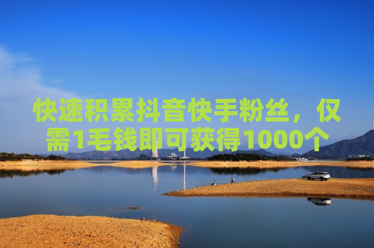 快速积累抖音快手粉丝，仅需1毛钱即可获得1000个赞！