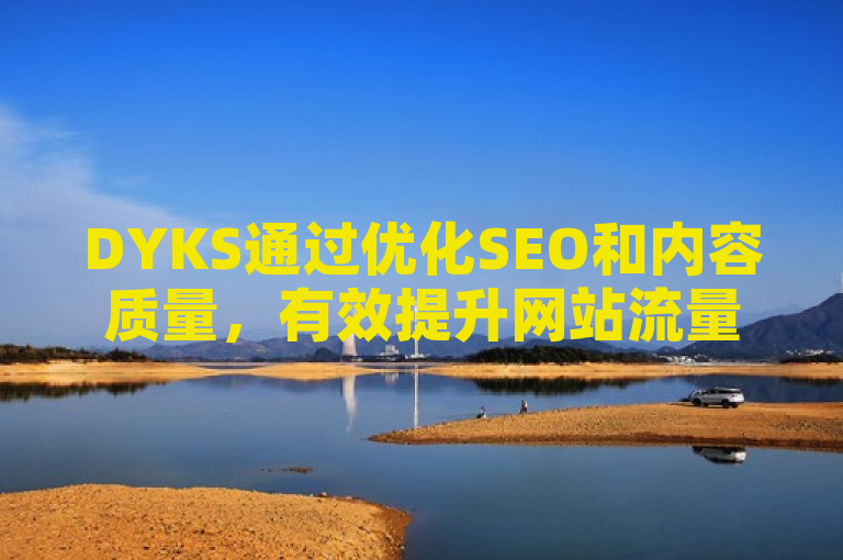 DYKS通过优化SEO和内容质量，有效提升网站流量。