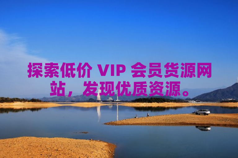 探索低价 VIP 会员货源网站，发现优质资源。