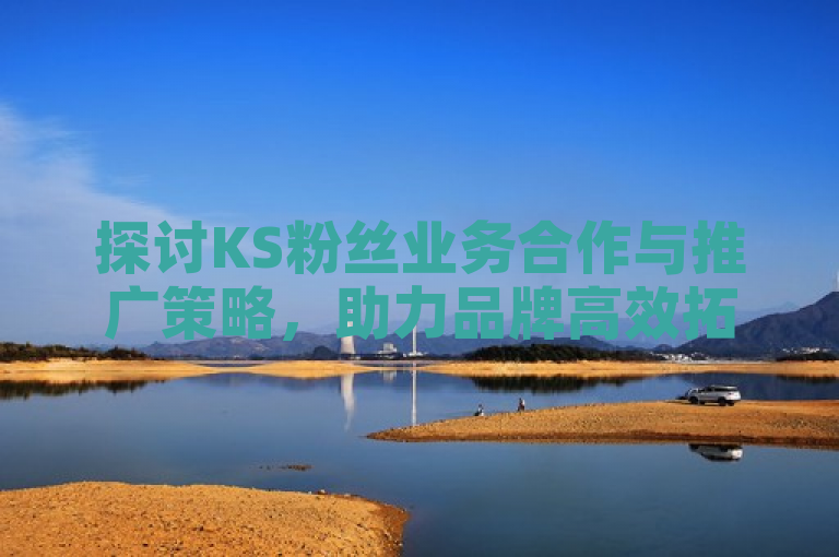 探讨KS粉丝业务合作与推广策略，助力品牌高效拓展影响力。