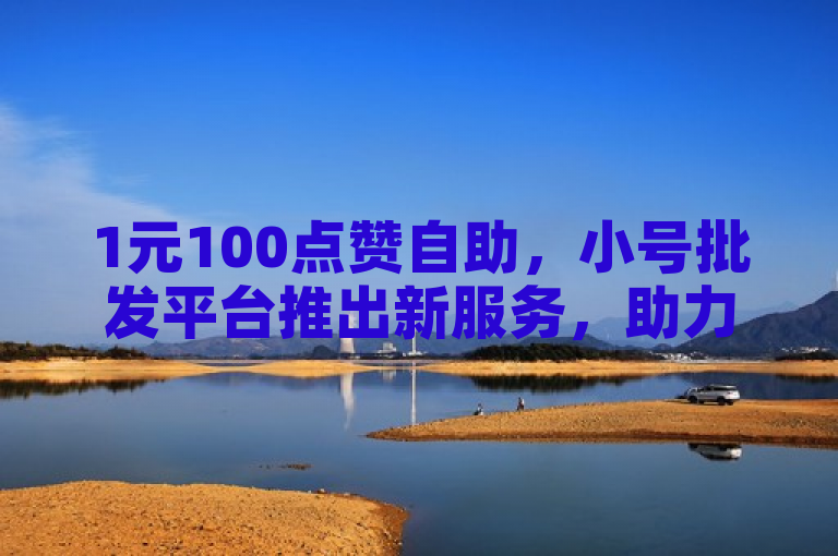 1元100点赞自助，小号批发平台推出新服务，助力社交媒体影响力提升。