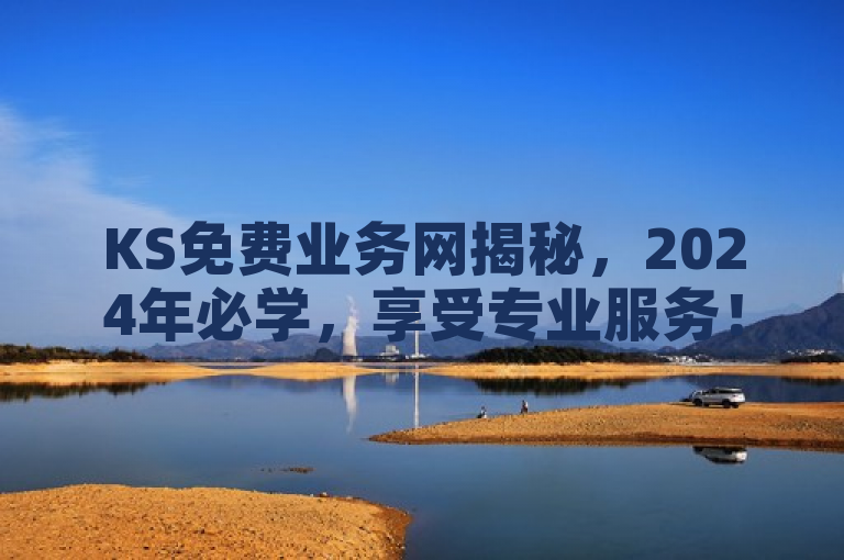 KS免费业务网揭秘，2024年必学，享受专业服务！